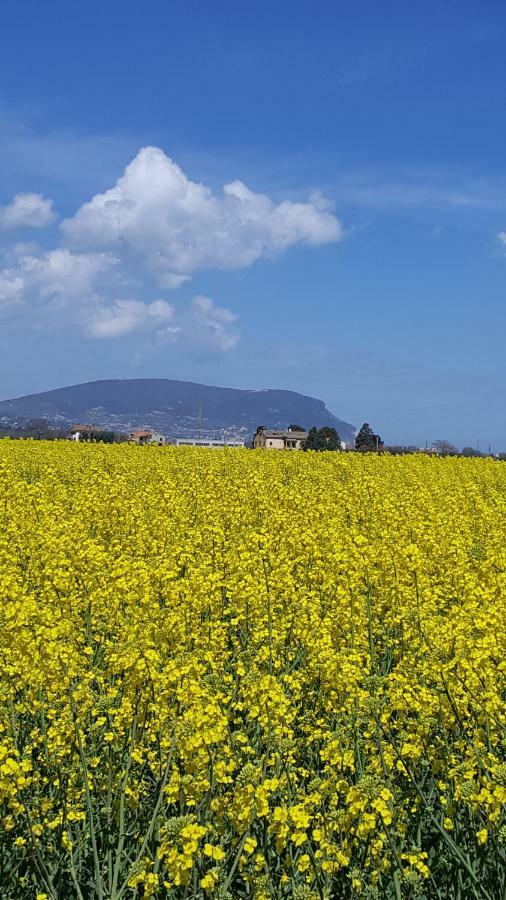 Villetta Del Conero بورتو ريكاناتي المظهر الخارجي الصورة